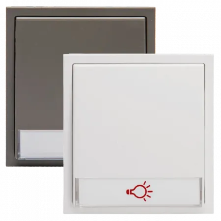 RENZ Tastenmodul mit 1x Lichttaster 97-9-85273 - Frontansicht, Farbe: Weiß oder Grau