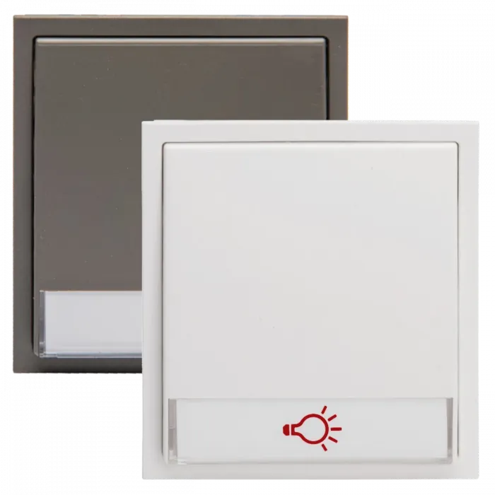 RENZ Tastenmodul mit 1x Lichttaster 97-9-85273 - Frontansicht, Farbe: Weiß oder Grau