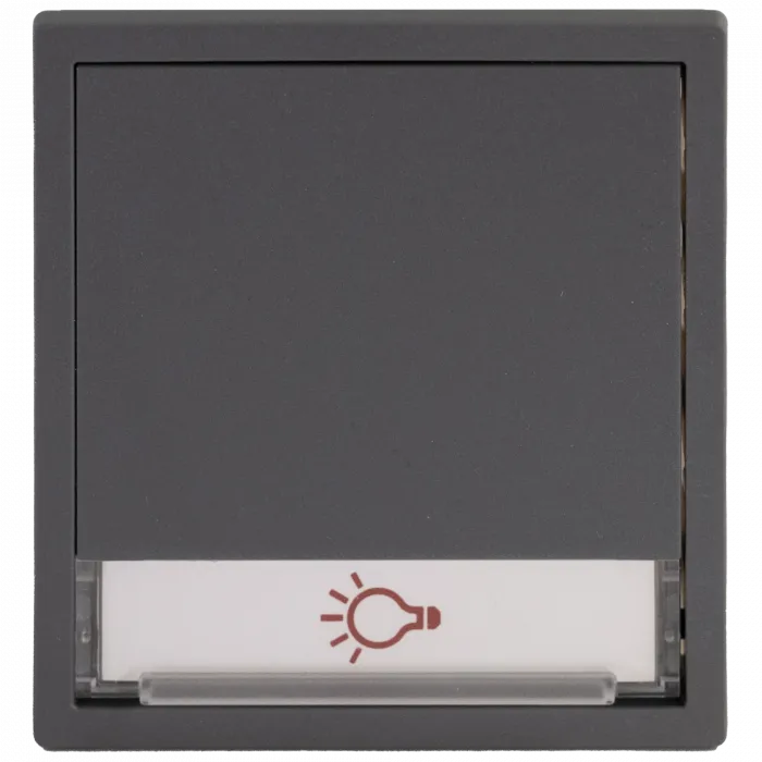 RENZ Lichtmodul 3. Generation 97-9-85673 1xLicht - Frontansicht